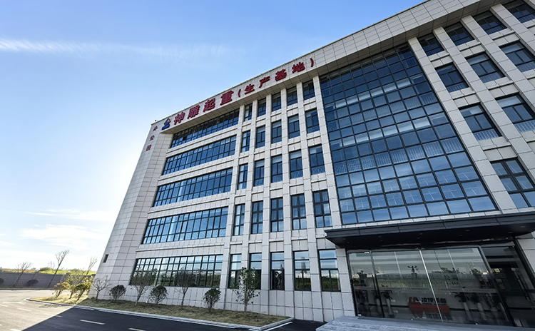 合肥市神雕起重機(jī)械有限公司制造基地